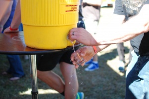 cleaning a glass at the Good Beer Festival