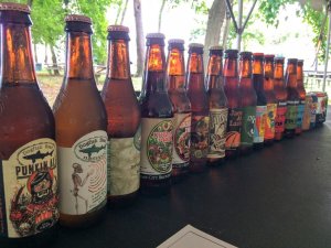 lineup of beers