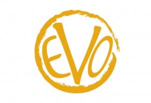 evolution 300x205