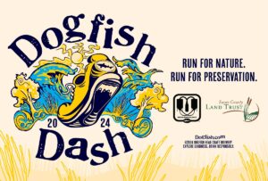 DogfishDash2024Assets Web Header 1200x812 1 1 300x203