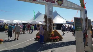 20170921 140151.jpg 300x169