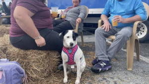 Shor Craft Ber Garden Ocean City 300x170